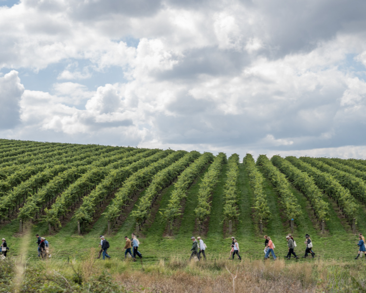 Forage Orange FOOD Week